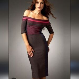 Herve Leger Off-Shoulder Dress in Pink Gray Purple and Blue